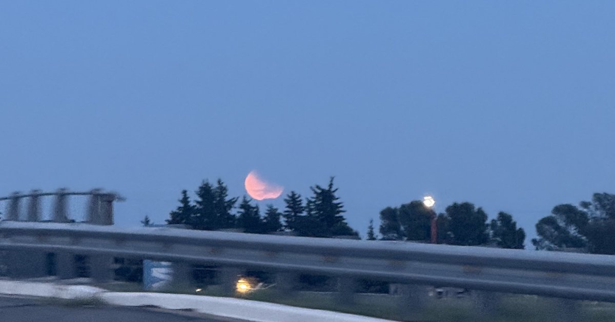Yo soy fan de la luna! 🌙