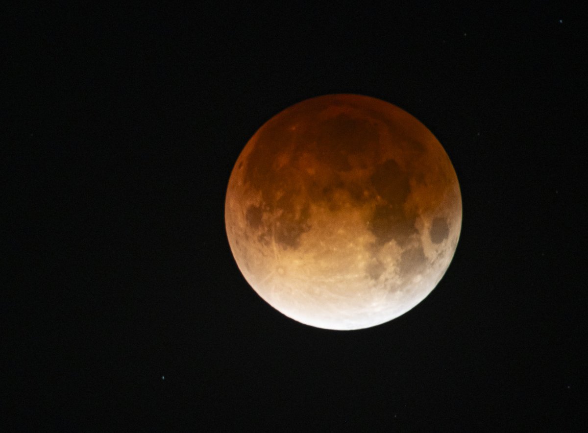 Lis - Battling On #GetChecked tweet media