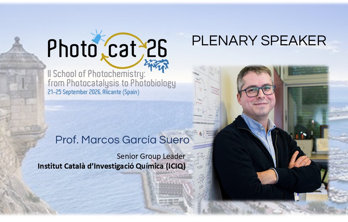 Photocat26 tweet media