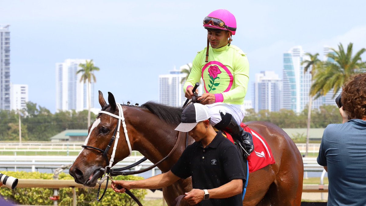 Jose F D'Angelo tweet media