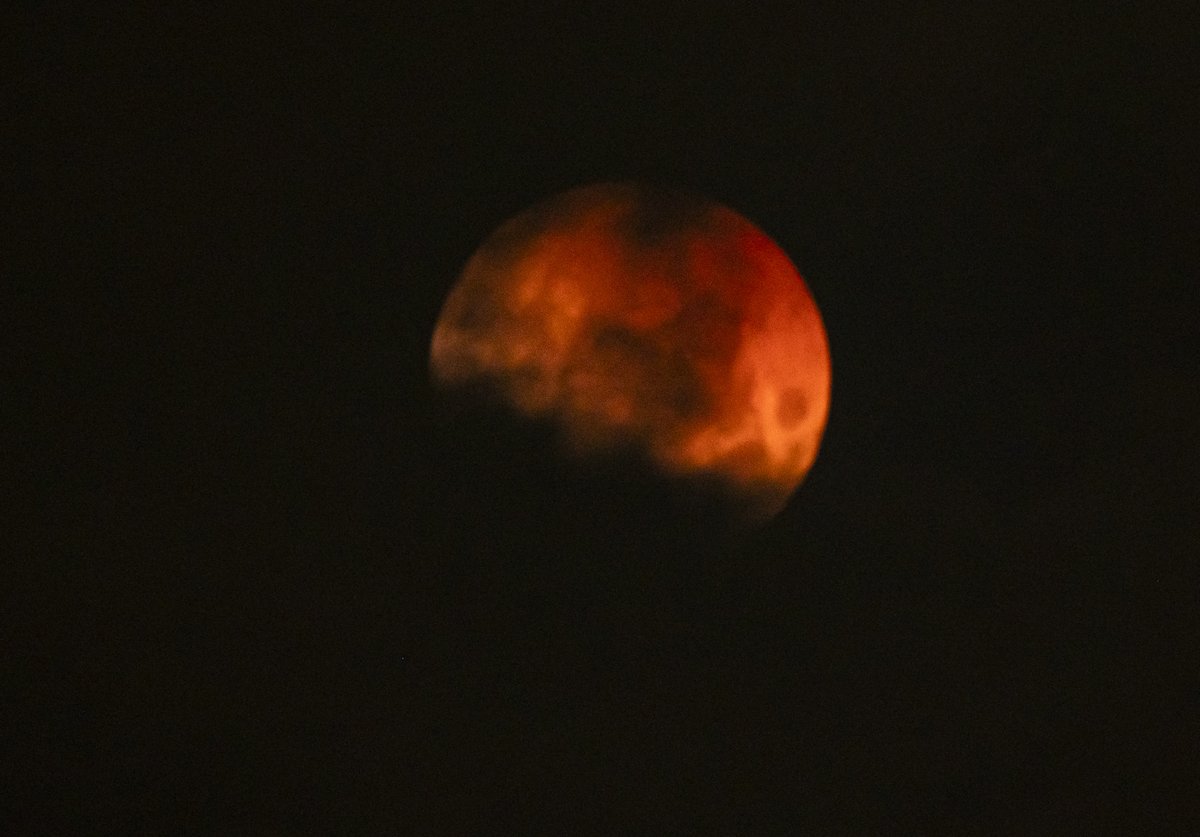 Lis - Battling On #GetChecked tweet media