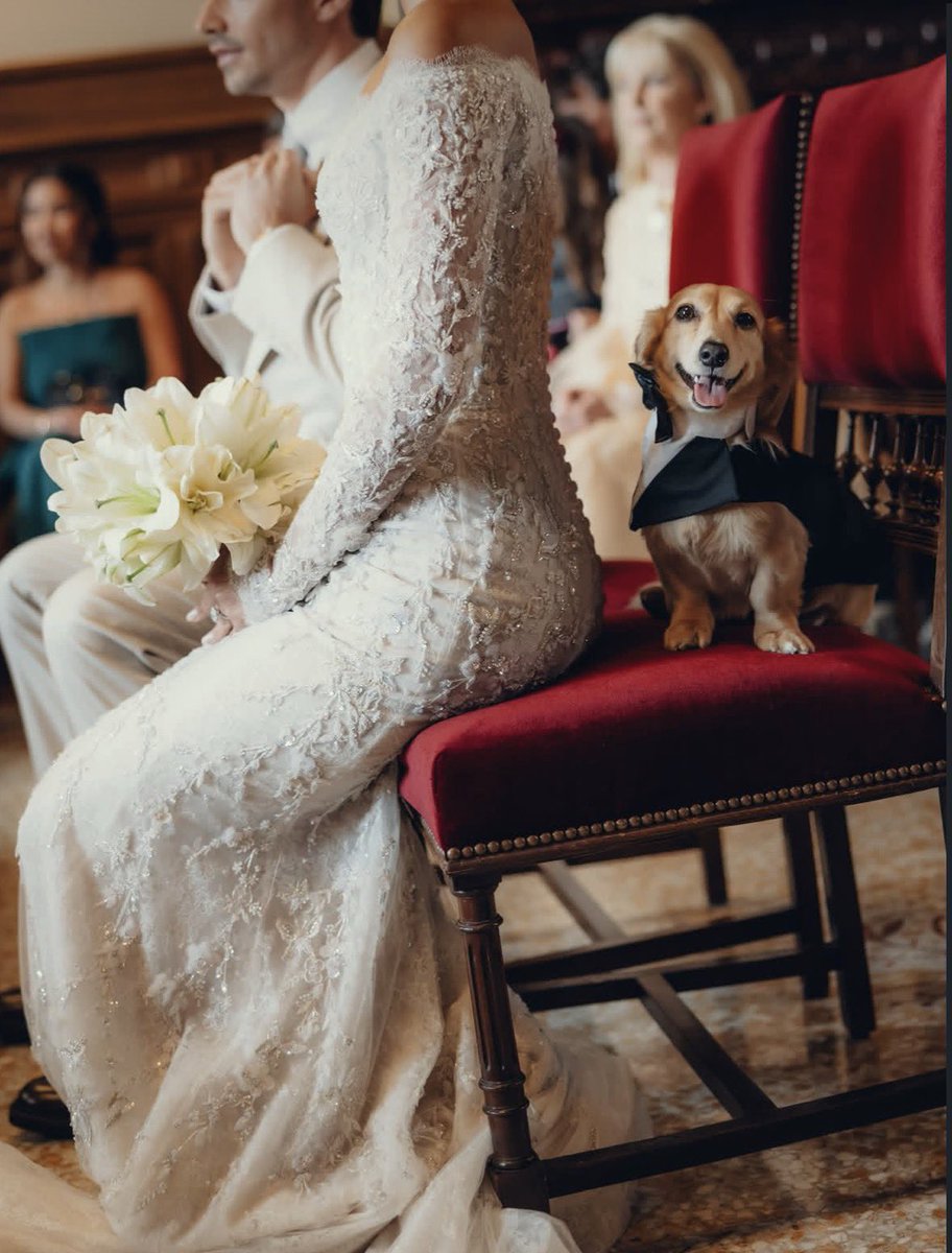 marrlec's tweet photo. happy Leo watching his parents getting married 🫶🏻 https://t.co/hk9kUHzp2G