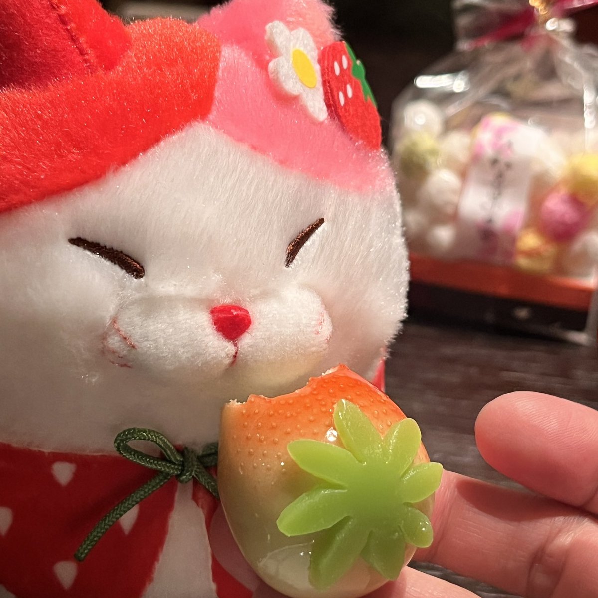 今日はみーの誕生日🎉 ケーキのイチゴをぱくり🎂😽🍓 かと思いきや