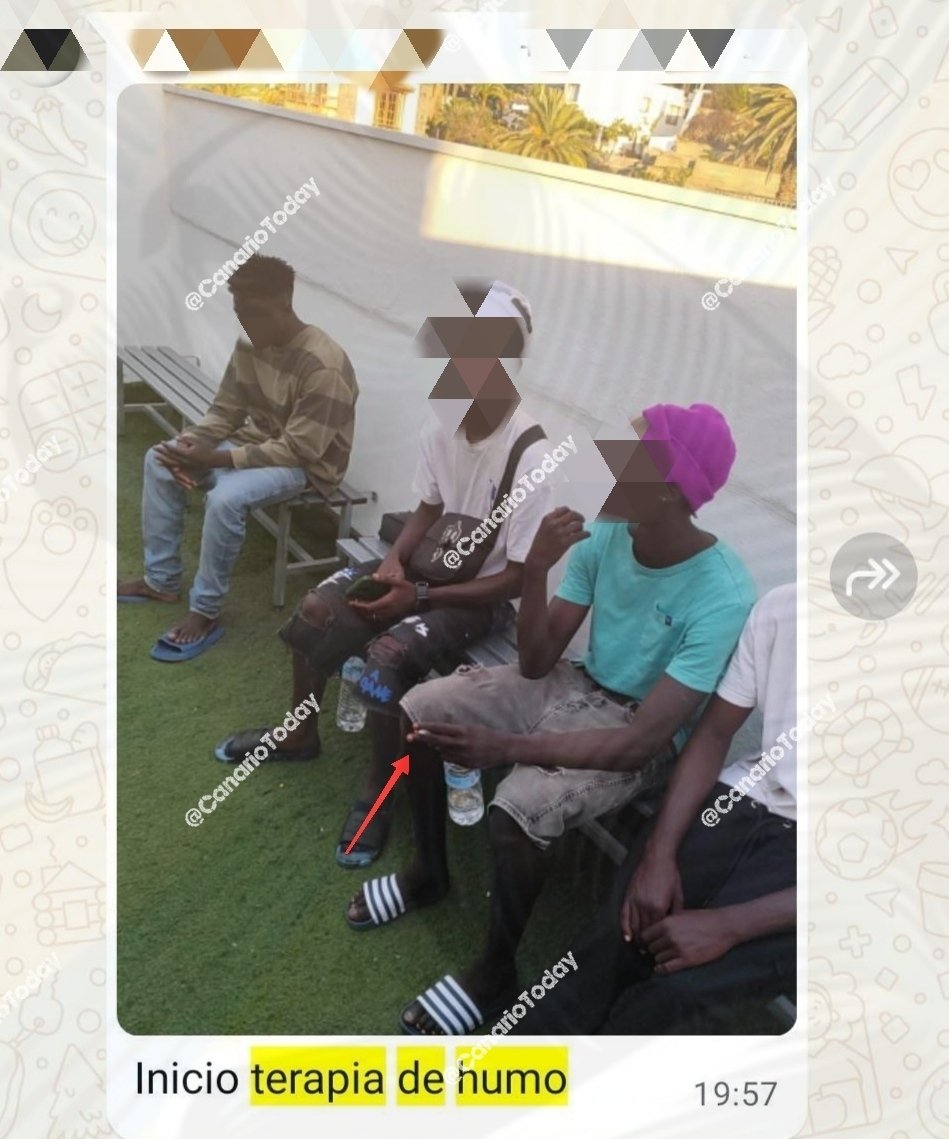 Canario Today tweet media