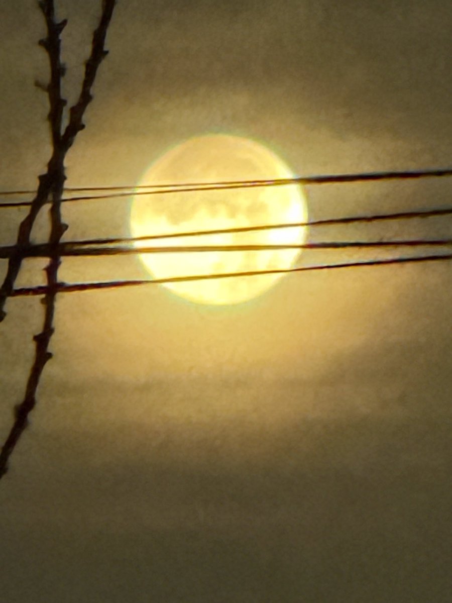 Elizabeth Taylor Jay tweet media