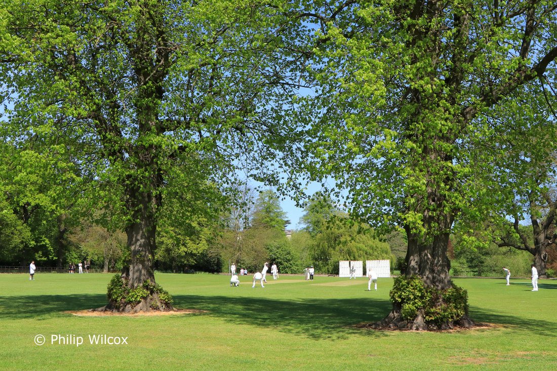 Barkby United CC tweet media