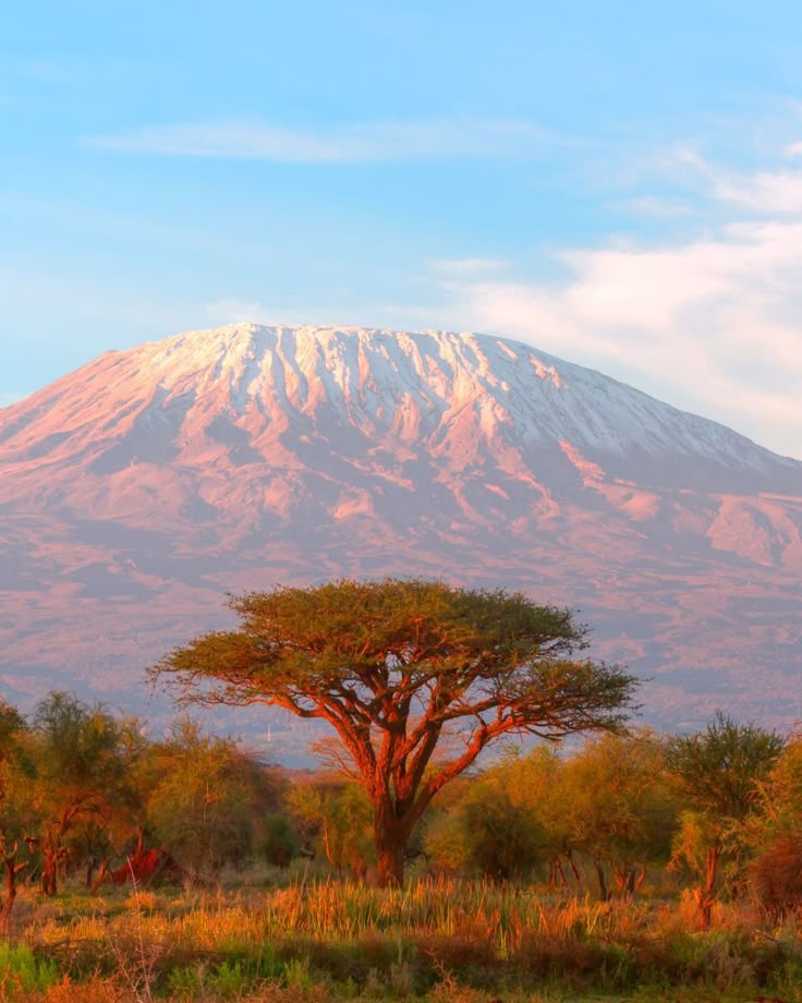 echoesofworld's tweet photo. Serengeti, Tanzania https://t.co/cnZbu6tyws