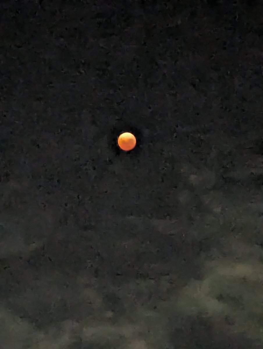 Bird Michael From Twitt℮r tweet media