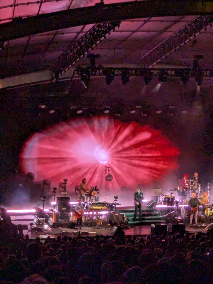 Bird Michael From Twitt℮r tweet media