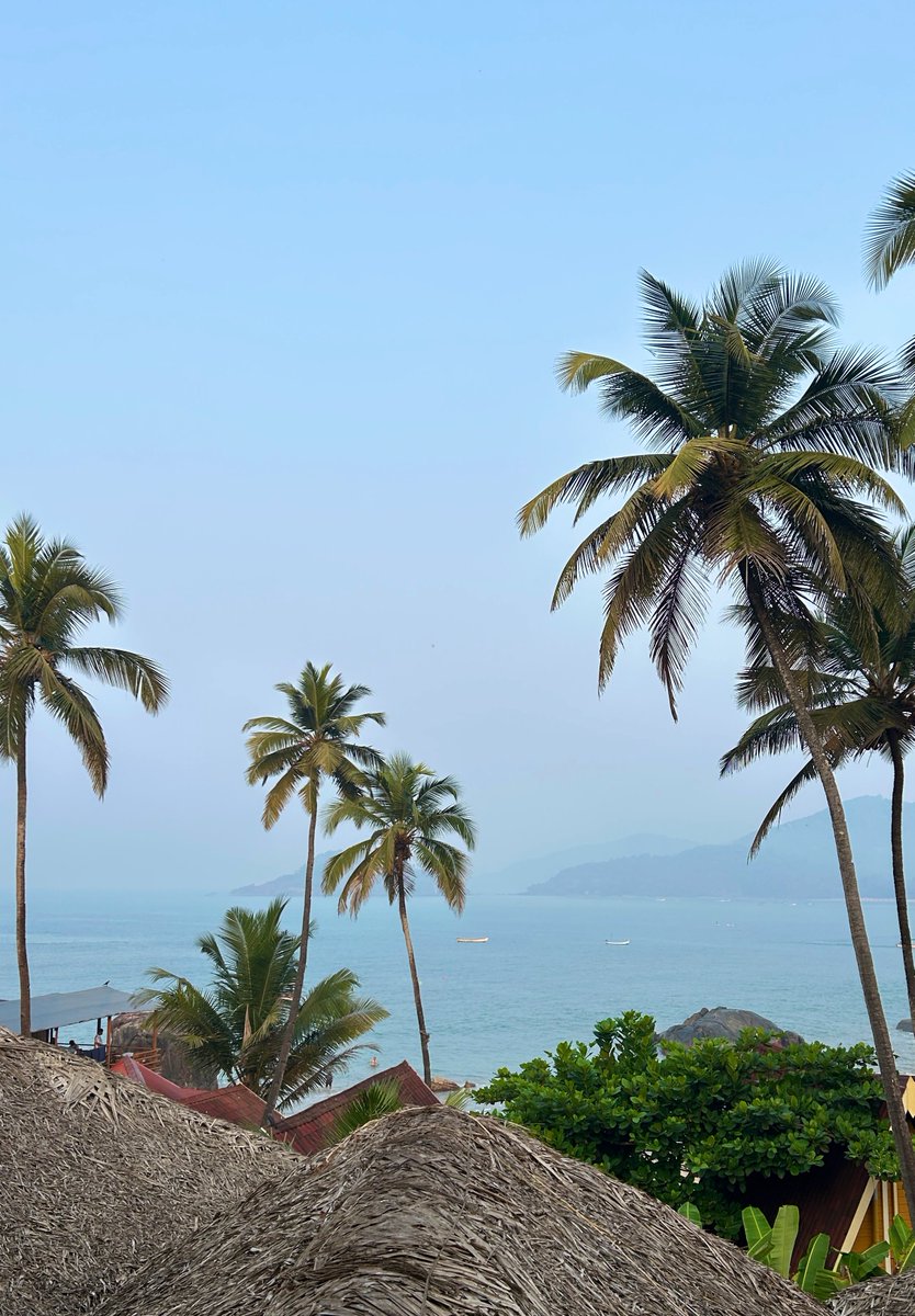 Shailavidraws tweet media