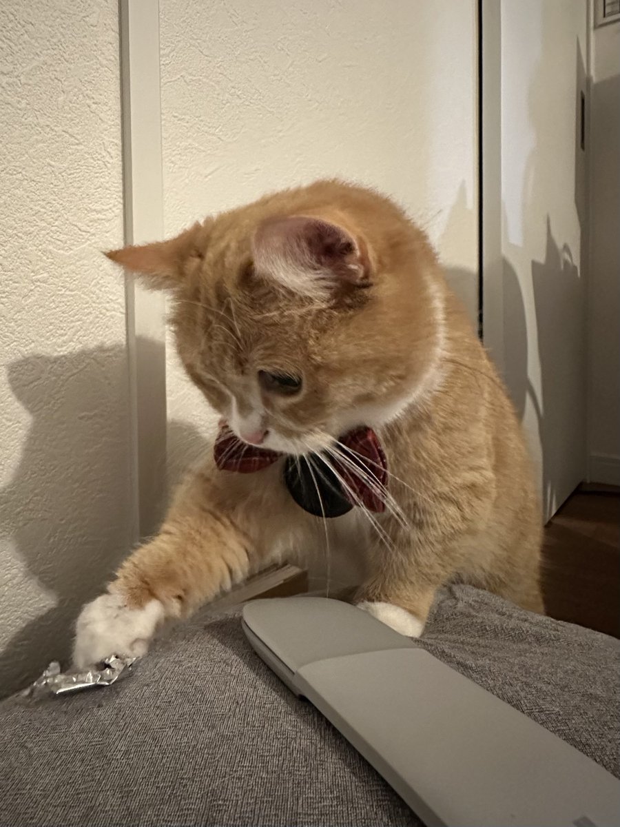 も&もちもな tweet media