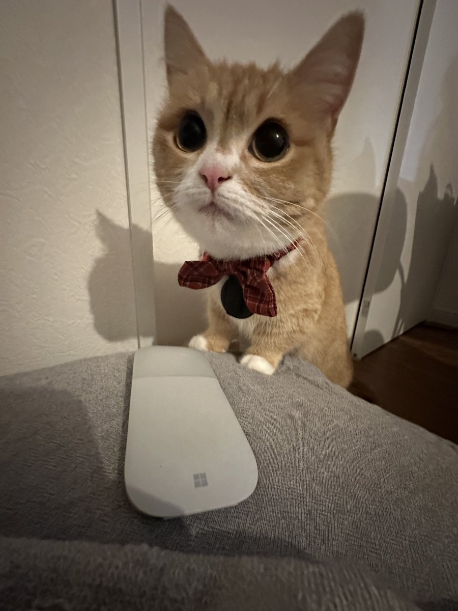 も&もちもな tweet media