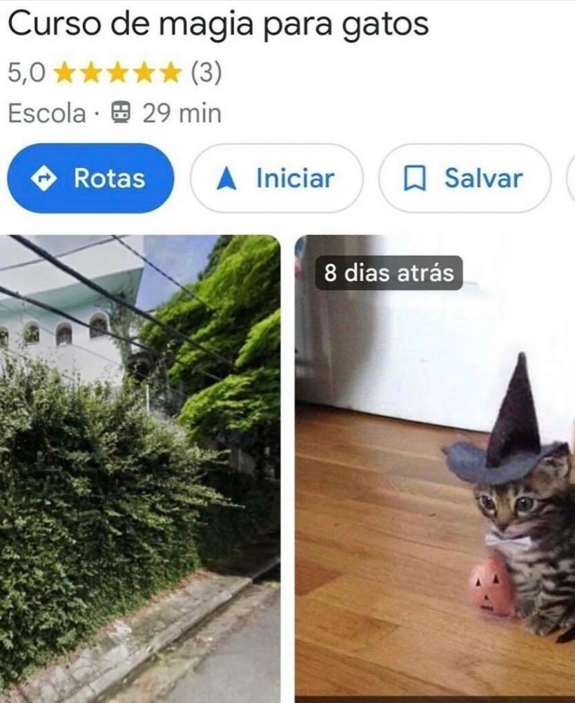 Analise de Calvos (@analisedecalvos) on Twitter photo 