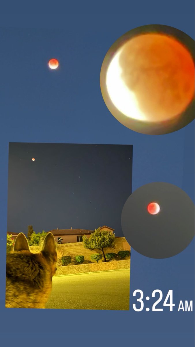 Smash4220's tweet photo. Blood Moon Las Vegas! https://t.co/xGSzvEMWgK