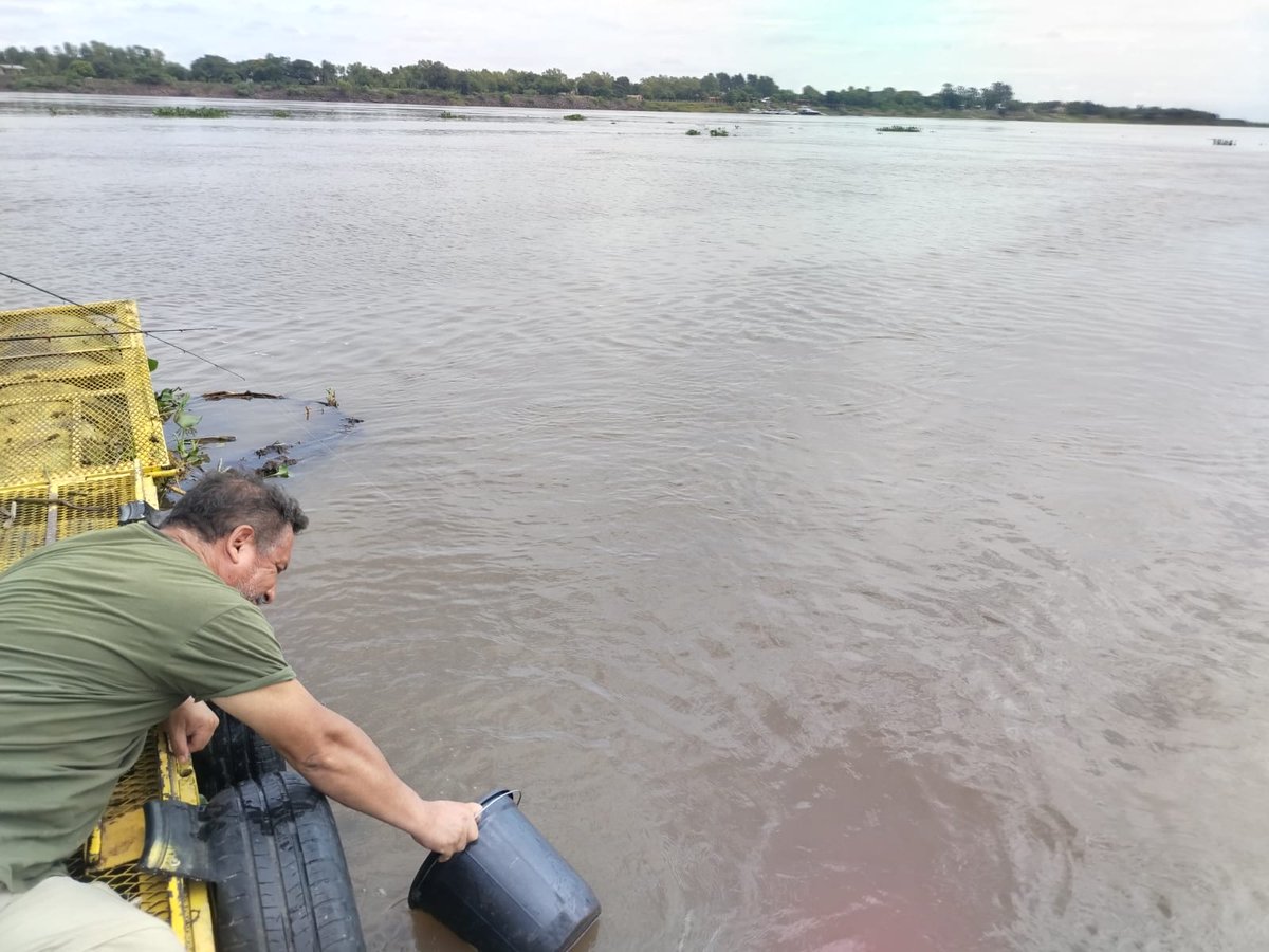 CNEA (Paraguay) tweet media