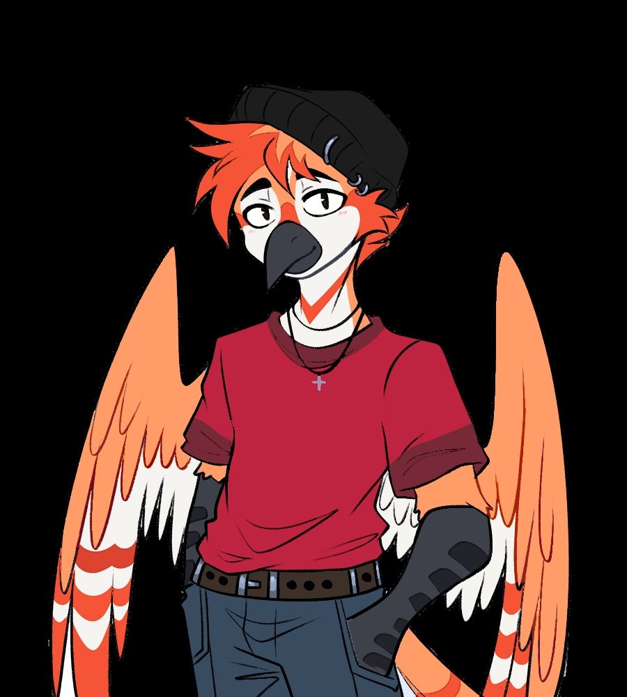 Daily Rofi tweet media