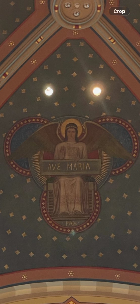 healingseer's tweet photo. Had the most incredible silent retreat at Conception Abbey, culminating in a breathtaking Sunday Mass. There is something profoundly powerful about Catholic ritual as it truly is a masterclass in sacred embodiment. No one does ritual like it. #Conceptionabbey #prayer #silence https://t.co/NlZFJkhxja