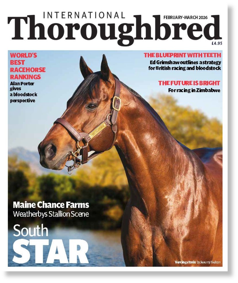 International Thoroughbred tweet media