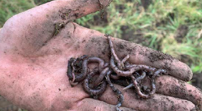 Gerrit Angst tweet media