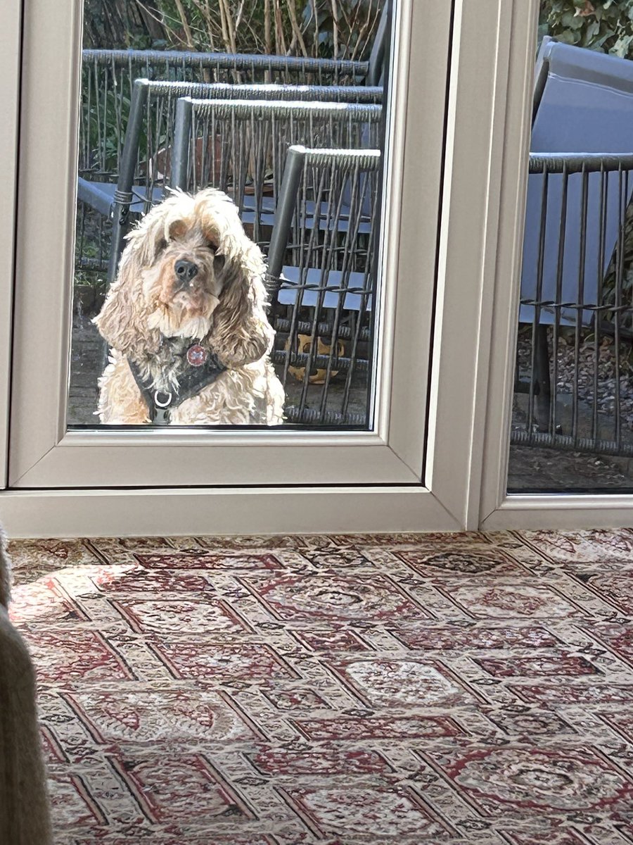 Kay Prescott tweet media