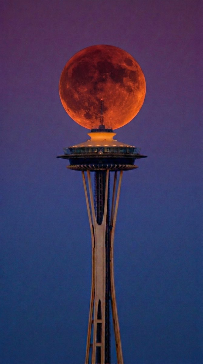 Night Sky Today tweet media