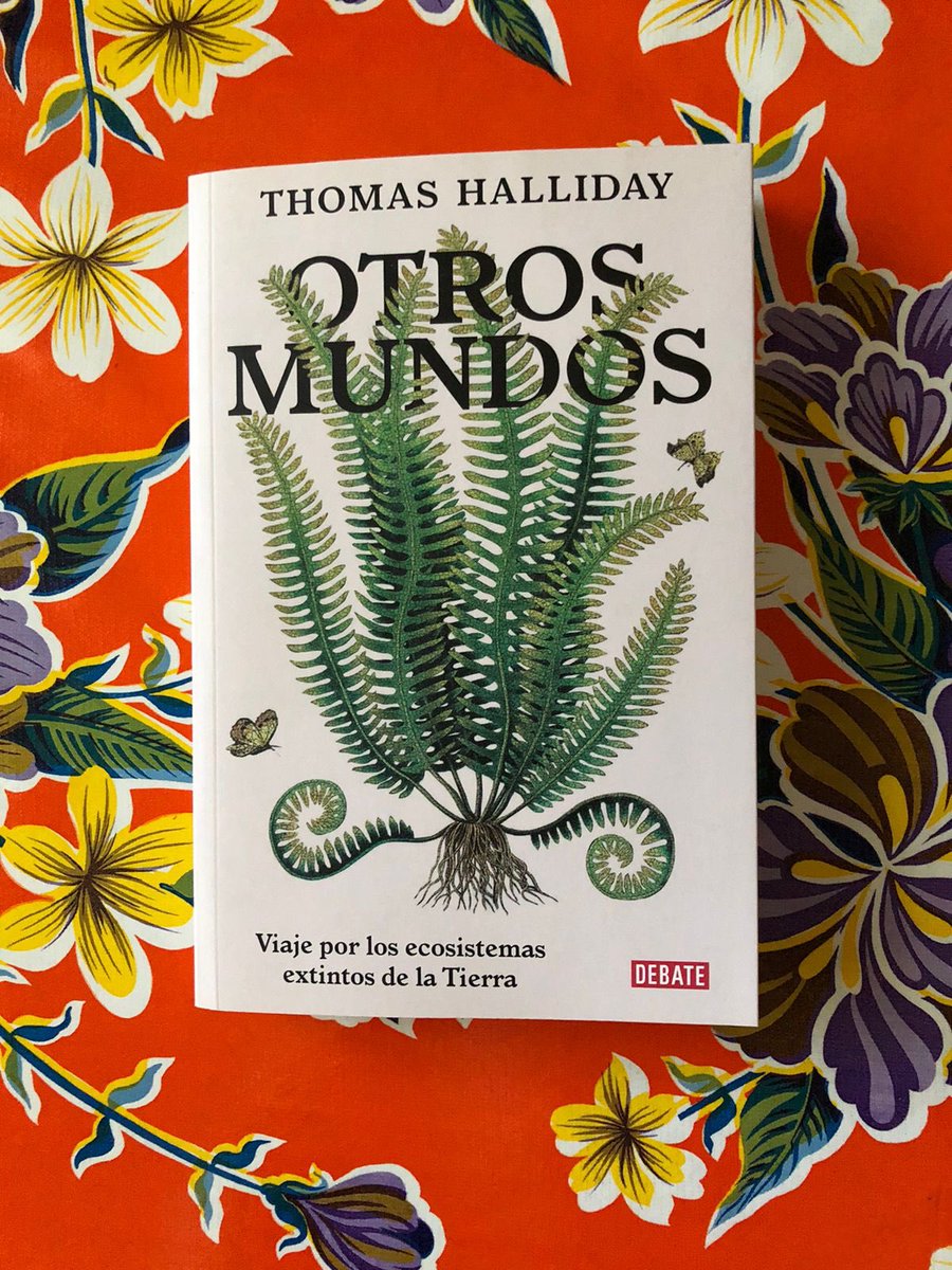 Libros Chevengur tweet media