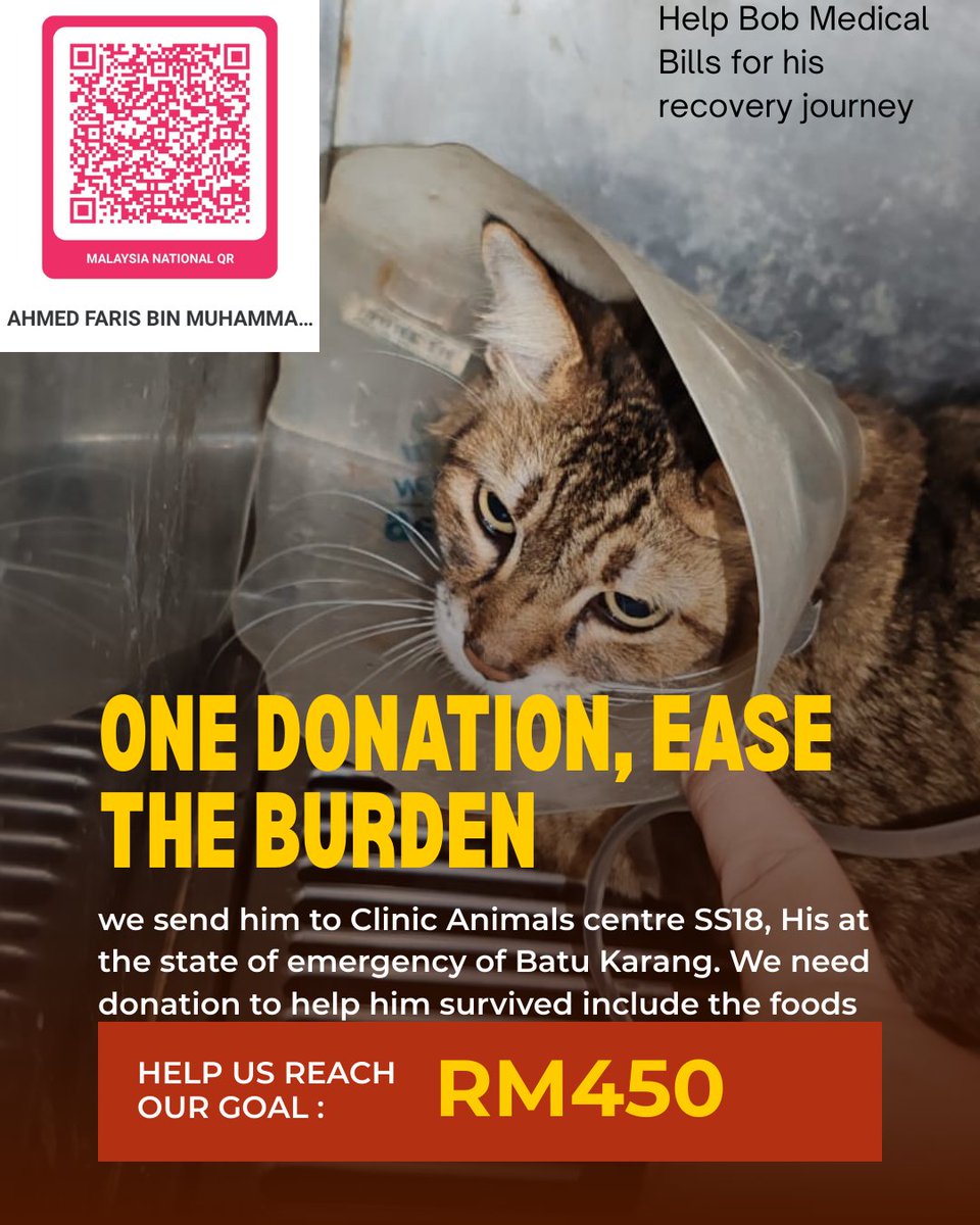 teddynanabear's tweet photo. Dibulan mulia saya minta tolong utk share rezeki korang utk bill recovery bob! Moga yg share rezeki dipermudahkan rezeki korang sekeluarga! Dan traffic light sentiasa hijau. Ameen!

Saya Area Subang Jaya, Selangor. Boleh google vet tuu.. Atas nama Diyana. Pekerja dia nama Olive! https://t.co/c4TnorsqOd