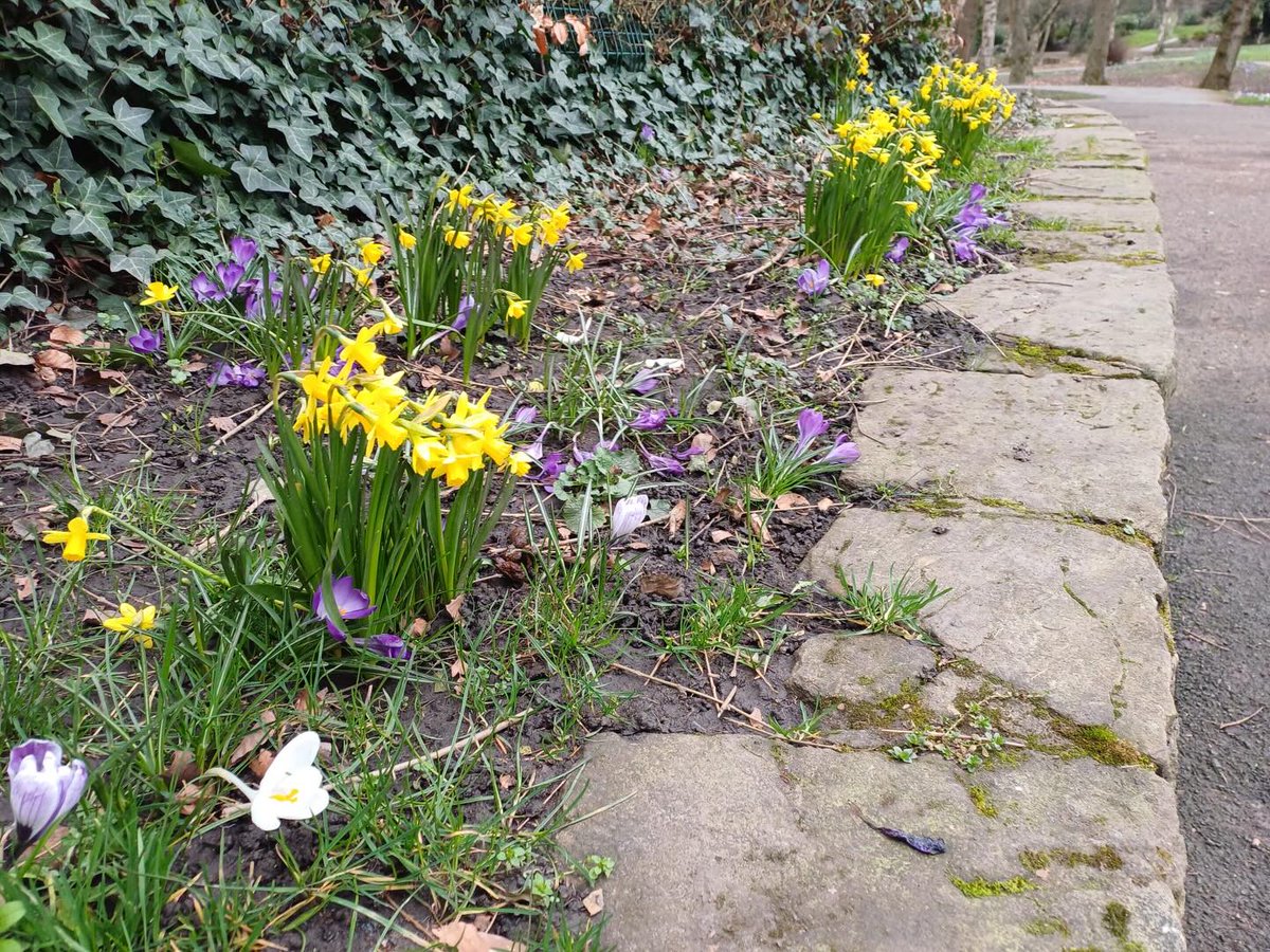 Friends of Parr Fold Park tweet media