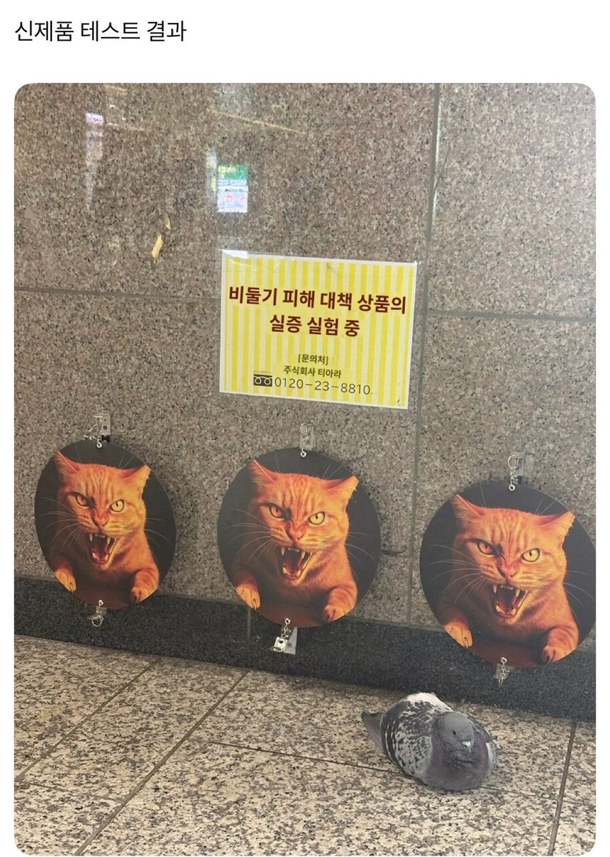 챱 (@lovx11_very) on Twitter photo 