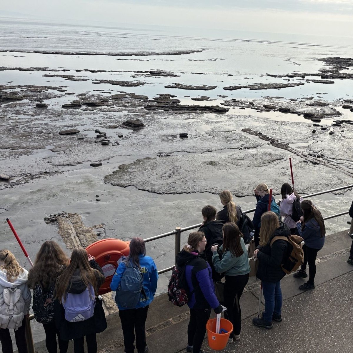 Brookvale Groby tweet media