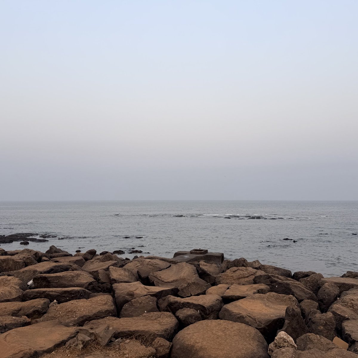 Charmie Kapoor tweet media