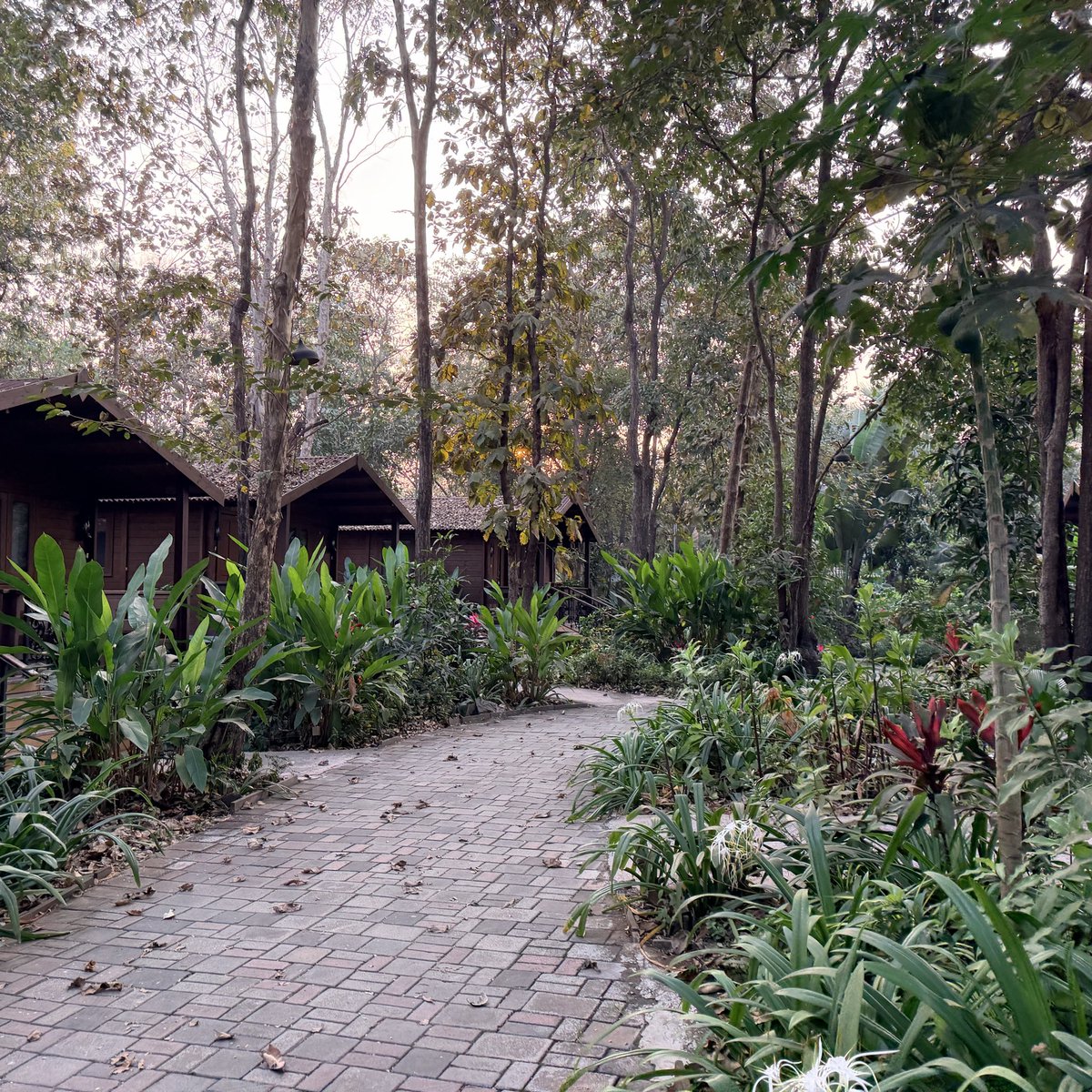 Charmie Kapoor tweet media