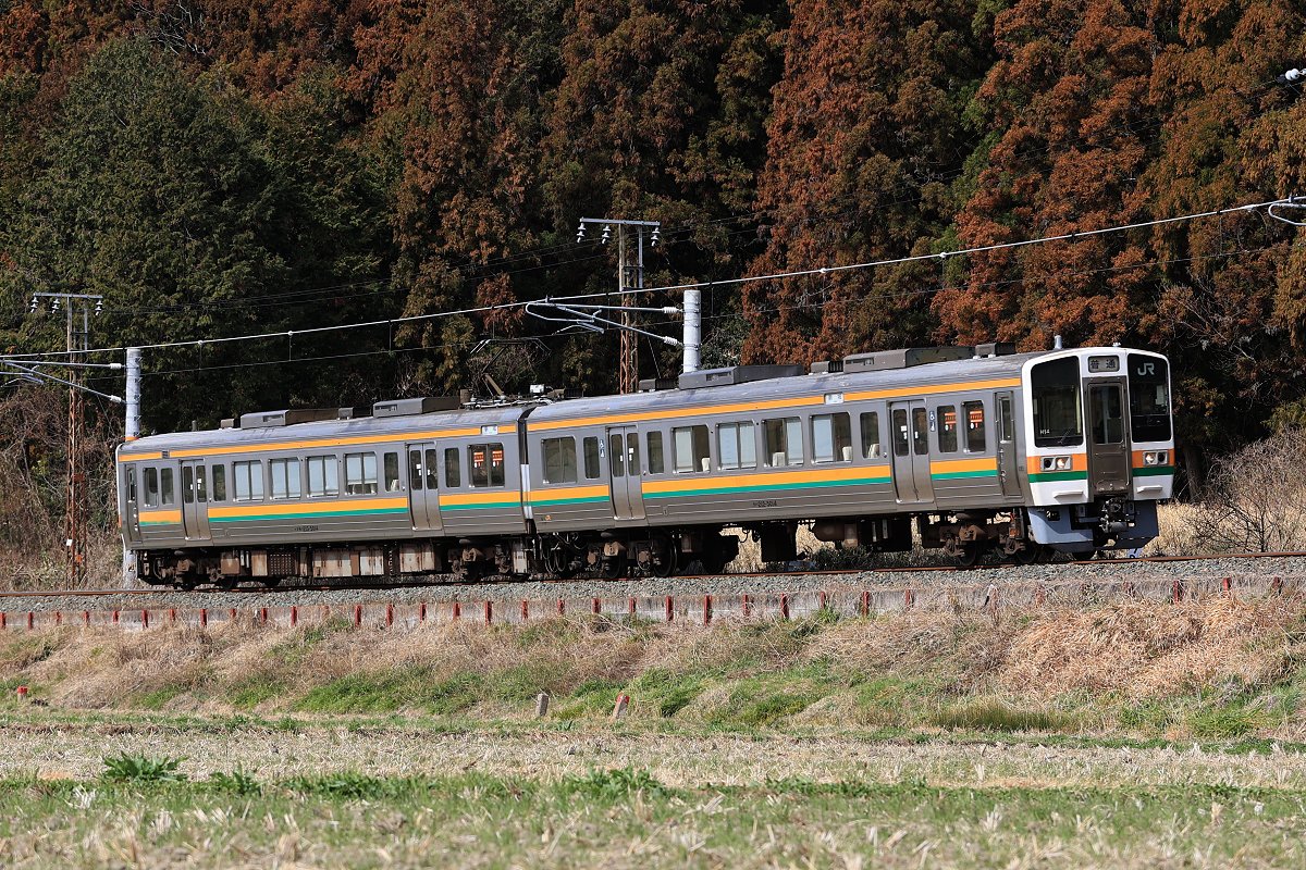 ばぎー海賊団 tweet media