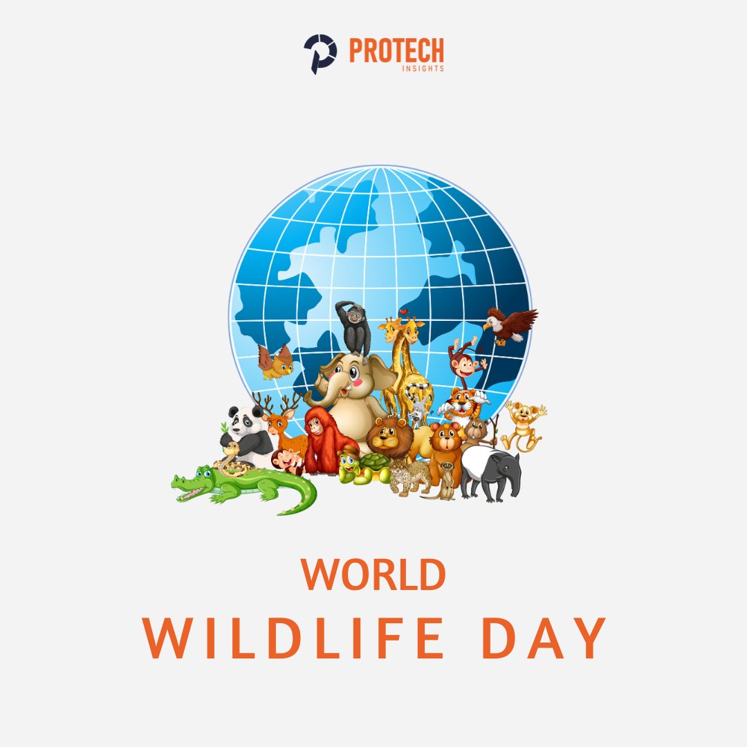 ProTech Insights tweet media