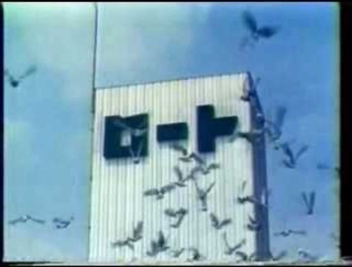 どく姉 tweet media