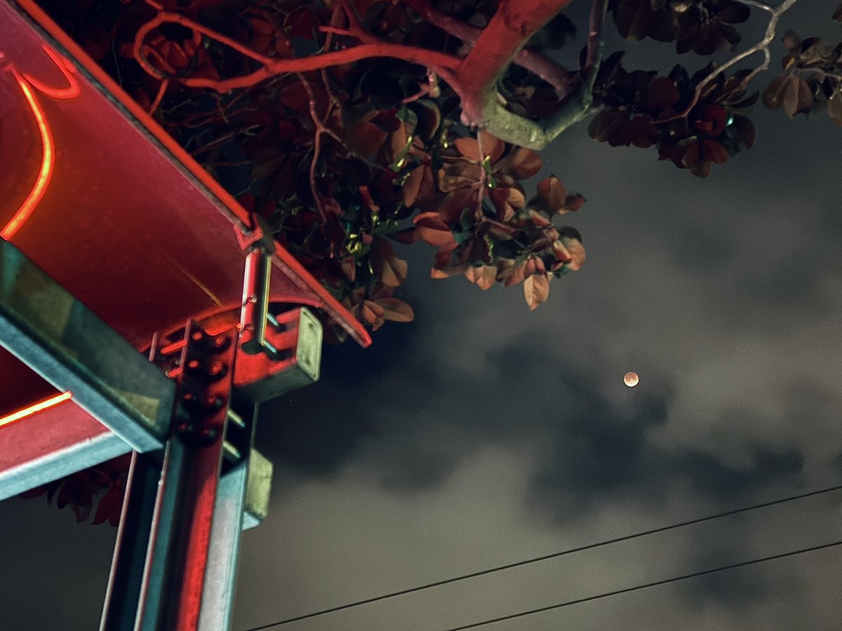 Danielle Baskin tweet media