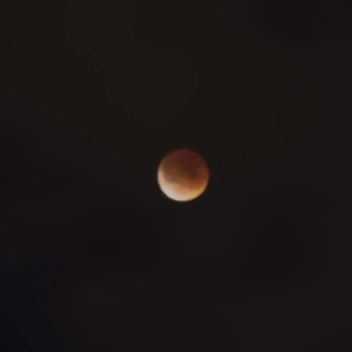 Danielle Baskin tweet media