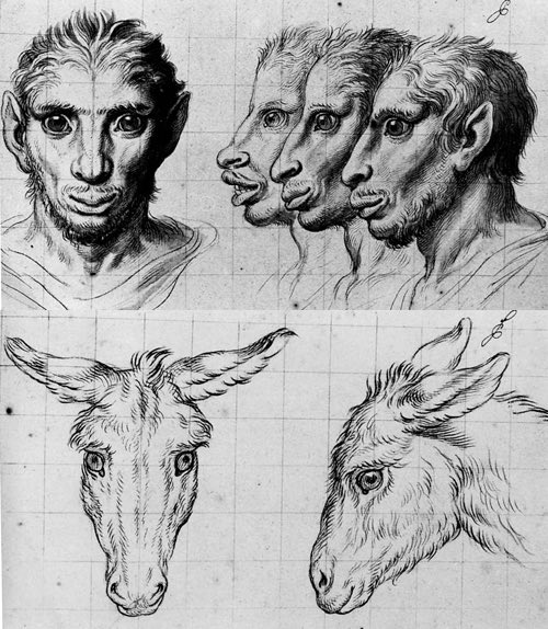 liminal pace tweet media