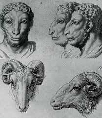 liminal pace tweet media