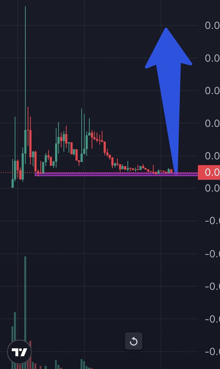 Hunter Andrew tweet media