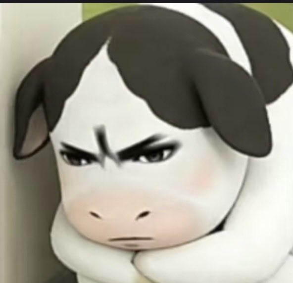 🐱老师埋伏日记 tweet media