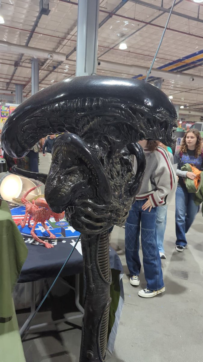 ZEBRA COMICS App tweet media