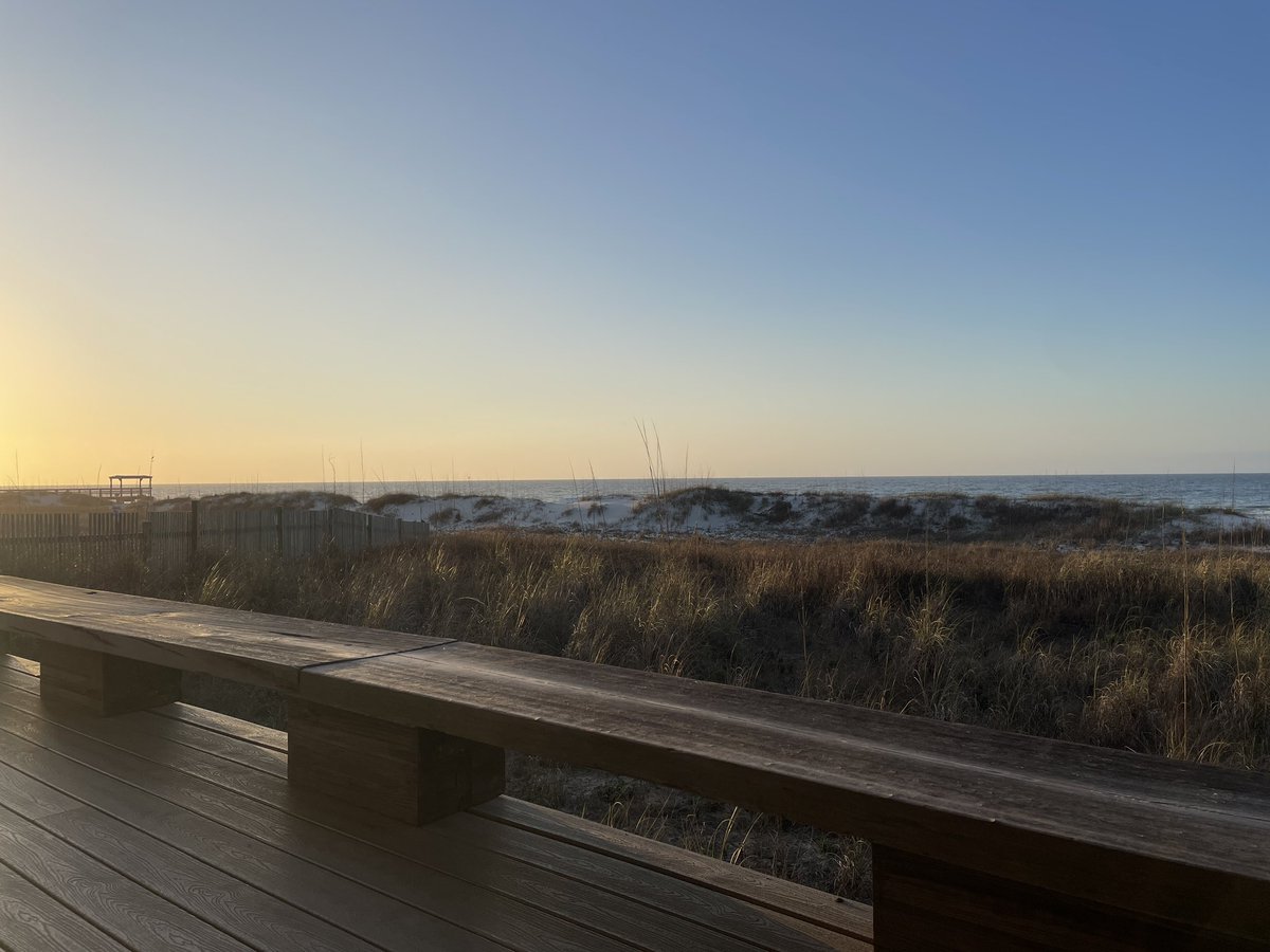 Nick Davis tweet media