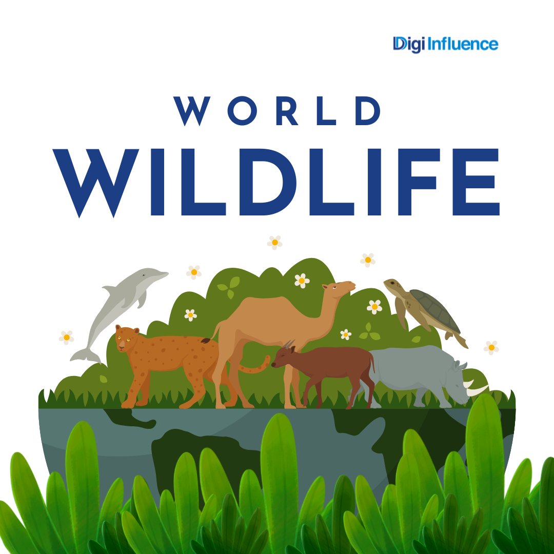 DigiInfluence1's tweet photo. On World Wildlife Day, reflect on the interconnectedness of all living beings 🐬🌊 Healthy oceans and forests mean a healthier planet. 🐾 #WorldWildlifeDay #OceanConservation #ForestProtection #WildlifeMatters #ActForEarth https://t.co/vhldLlRqOo