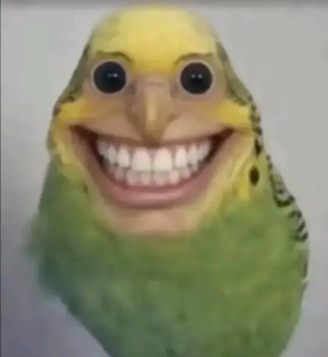 고질라웅디찰싹찰삭새끼새끼새끼새끼새끼새끼새끼새끼새끼새끼새끼새끼새끼새끼새끼새끼새끼새끼새끼새끼새 tweet media