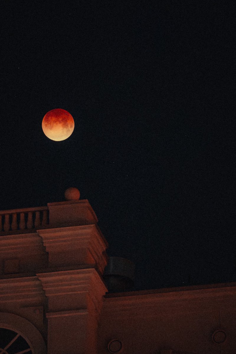 PINEAPPLES tweet media