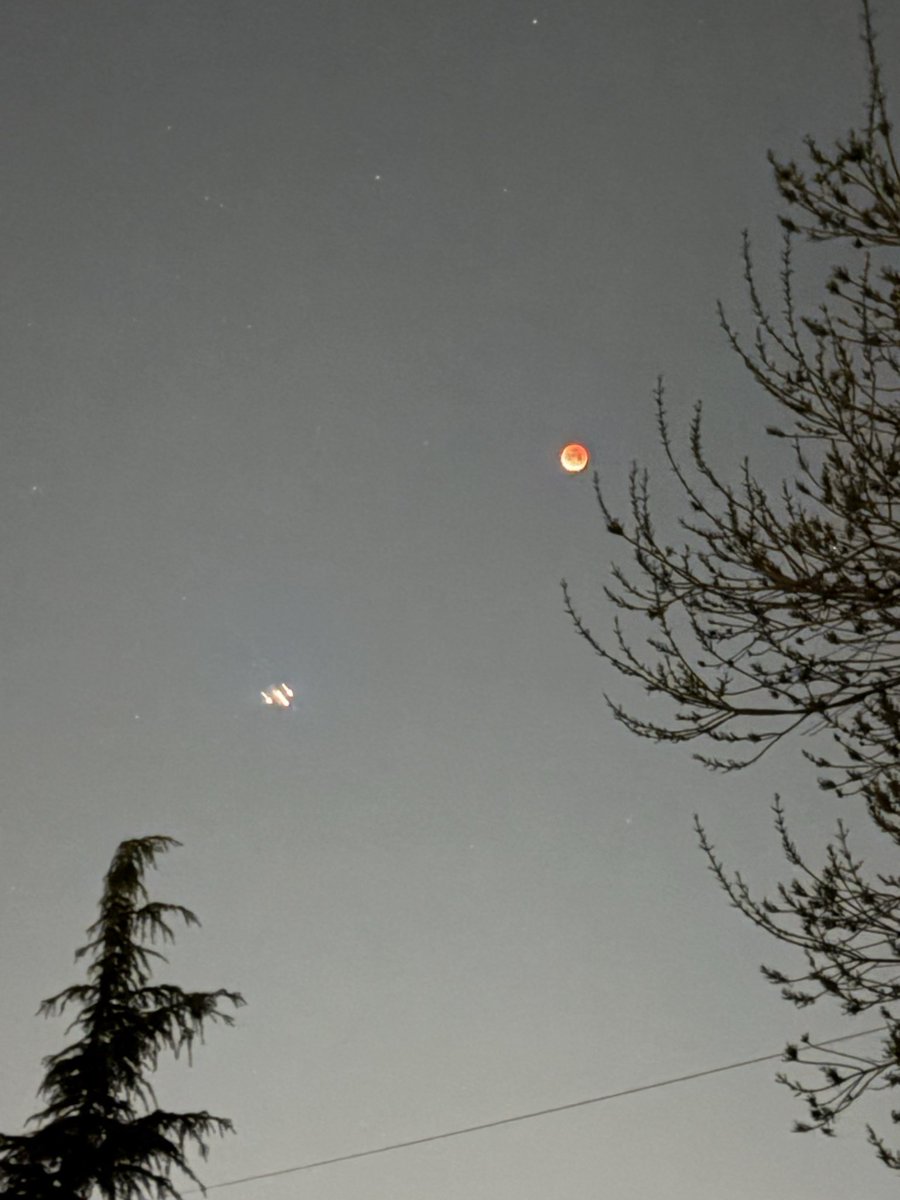 bbqsteve's tweet photo. @grok what flight is pictured in this photo?#LunarEclipse #Albuquerque https://t.co/H8Mv9aam9a