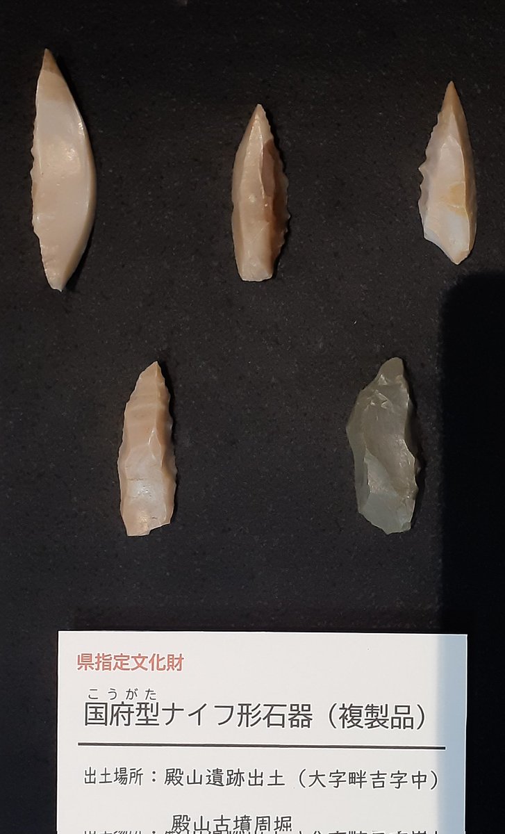 上尾市自然学習館」は生物、植物の博物館だが歴史、民俗コーナーも少し