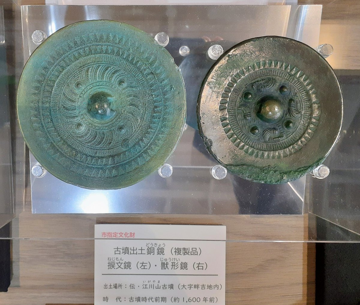 上尾市自然学習館」は生物、植物の博物館だが歴史、民俗コーナーも少し