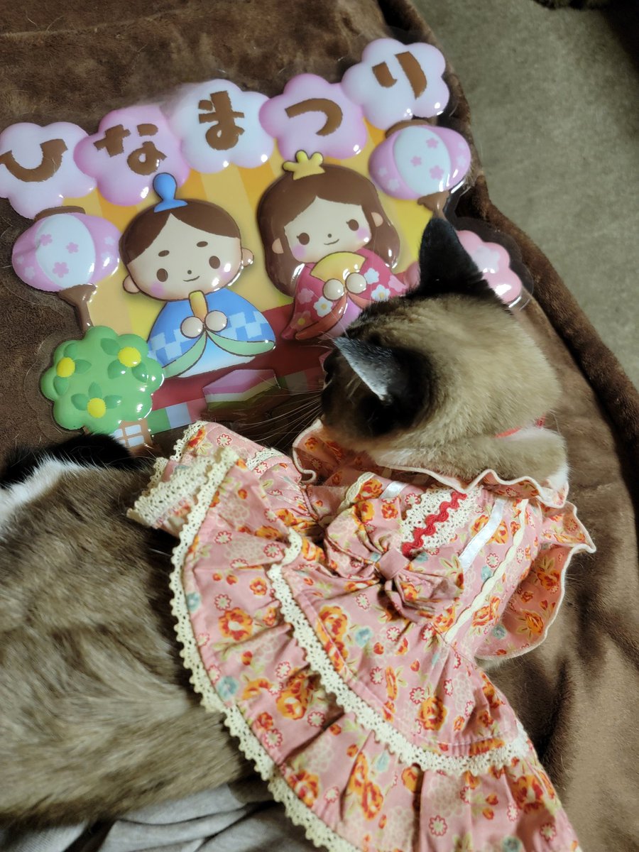 けい子ママ tweet media